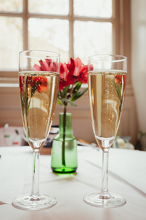 Intimate Courthouse Wedding